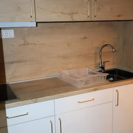 Apartament Vidik,treska