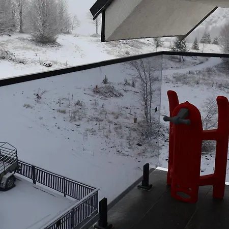 Vidik,treska Kopaonik