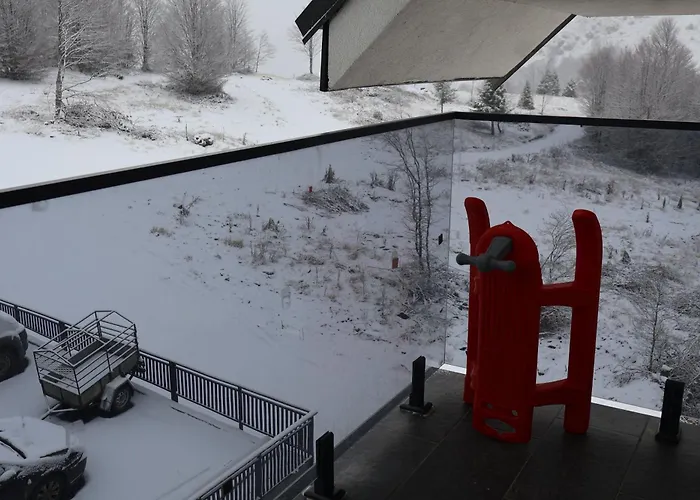 Vidik,treska Kopaonik